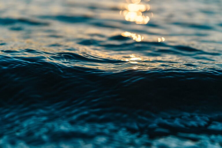 The Sea Knows No Names